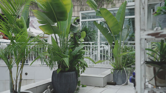 Smart Watering Timer with WIFI Hub, Automatic Garden Irrigation Timer